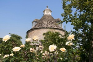 2012-07-26 Rousham rose garden3