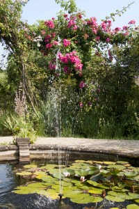 2012-07-26 Rousham gardens6