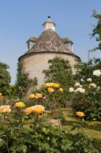 2012-07-26 Rousham rose garden2