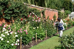 2015-09-15 The Vyne walled garden2