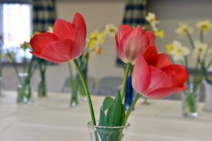 2016-04-02 Red tulips