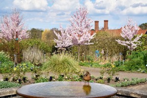 2016-04-14 Wisley country gardenred