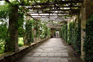 2016-06-13 Hever Castle Italian Garden8