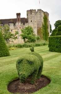 2016-06-13 Hever Castle topiary2