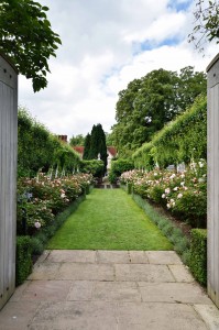 2016-06-16 Pashley Manor Rose Garden2