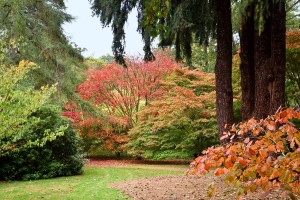 2018-10-12 Harcourt Arboretum7r